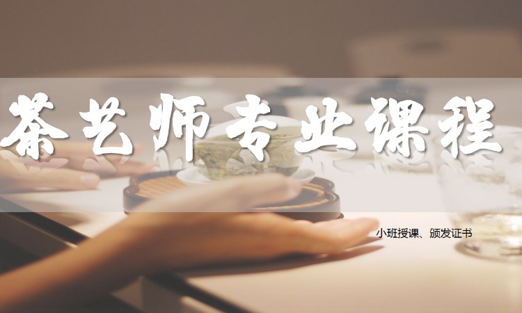 专业茶艺师课程